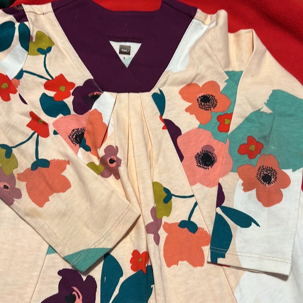 5 items total. 2 Tea dresses, 1 Hanna Anderson, 1 Gap, 1 The Children’s Place. - Picture 10 of 14